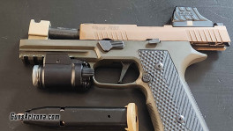 P320 FDE-ODG2