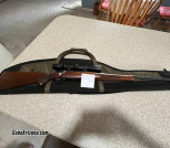 Ruger M77 Hawkeye .243