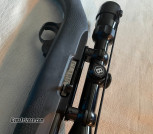 Custom Ruger 10/22 for sale