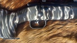 Anshutz_Custom4