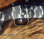Anshutz_Custom4