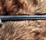 Anshutz_Custom (4)