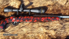 Anshutz Wooster1