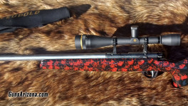 Anshutz Wooster2