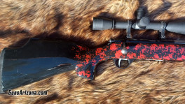 Anshutz Wooster3