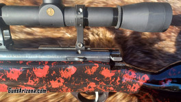 Anshutz Wooster4