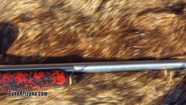 Anshutz Wooster6