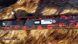 Anshutz Wooster8