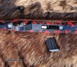 Anshutz Wooster (1)