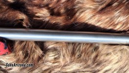 Anshutz Wooster (5)