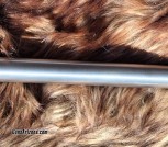 Anshutz Wooster (5)