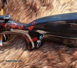 Anshutz Wooster (7)