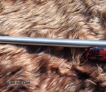 Anshutz Wooster (9)