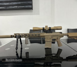 308 Winchester AR 10