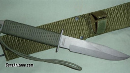 ek bowie 2