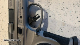 MnP1