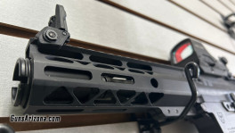 gun1