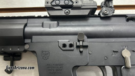 gun2