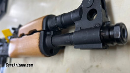 gun1