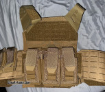 Plate carrier