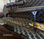 Remington 700 in 5.56