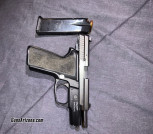 Sig p229