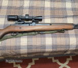 Springfield m1a .308