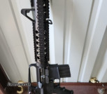 Bushmaster government ar15