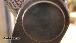 P1010022