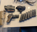 Sig P229 With Trijicon RMR