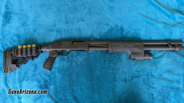 mbsg1