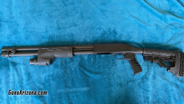 mbsg2