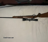Ruger M77 in 30-06