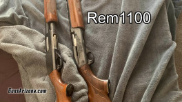 shotguns_02
