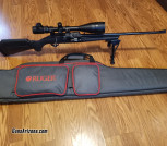 Ruger American .22LR tack driver
