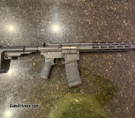 Wilson combat 300 HAM’R
