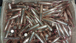 Bullet Image.1