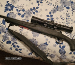Savage Axis .223