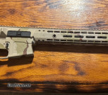 AR10 .308