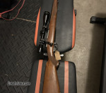 Ruger M77