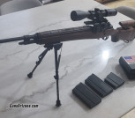 Springfeild Armory M1A M21