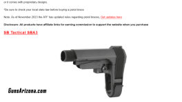 Screenshot 2025-05-24 at 17-43-24 6 Best AR-15 Pistol Braces Updated 2025