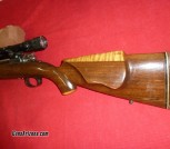 jc higgins 270 L butt-scope