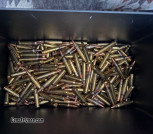 223 Ammunition (260 rounds)