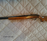 .22 Ted Williams  semi auto