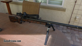 azgunsdasherpic6