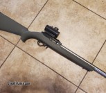 Ruger 10 22