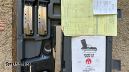 RUGERp95-2