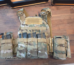 Plate Carrier With Plates 