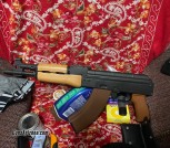 Romanian Draco